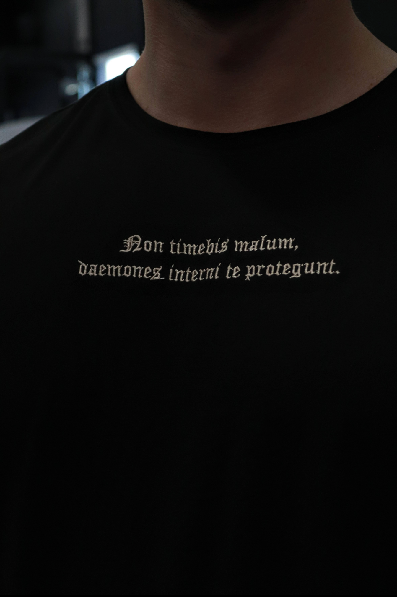 DAEMONES INTERNI