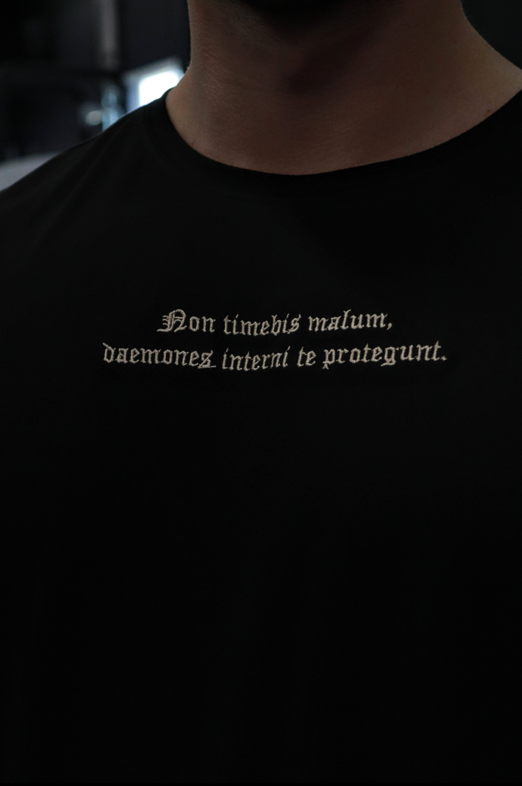 DAEMONES INTERNI